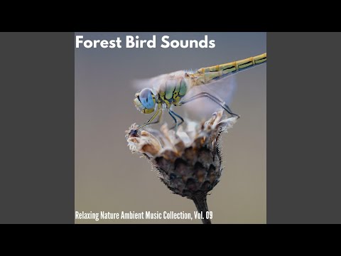 Water Ripples of Grief