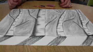 Charcoal birch trees with 4th Grade