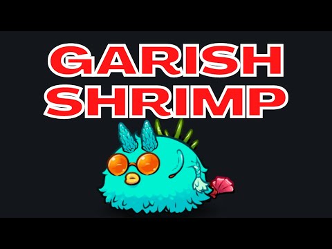 Rank 1 3100 MMR Plant Garish Shrimp Aqua Scarab Aqua | Season 21 Off-Season | Axie Infinity