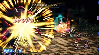 シャドウドラゴン(赤)10ターン（支援者麻痺睡眠なし）