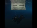 Bittersuite Billie Eilish (beginning extended)