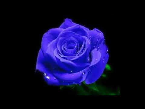 Gruby akaAK - Wkurwienie