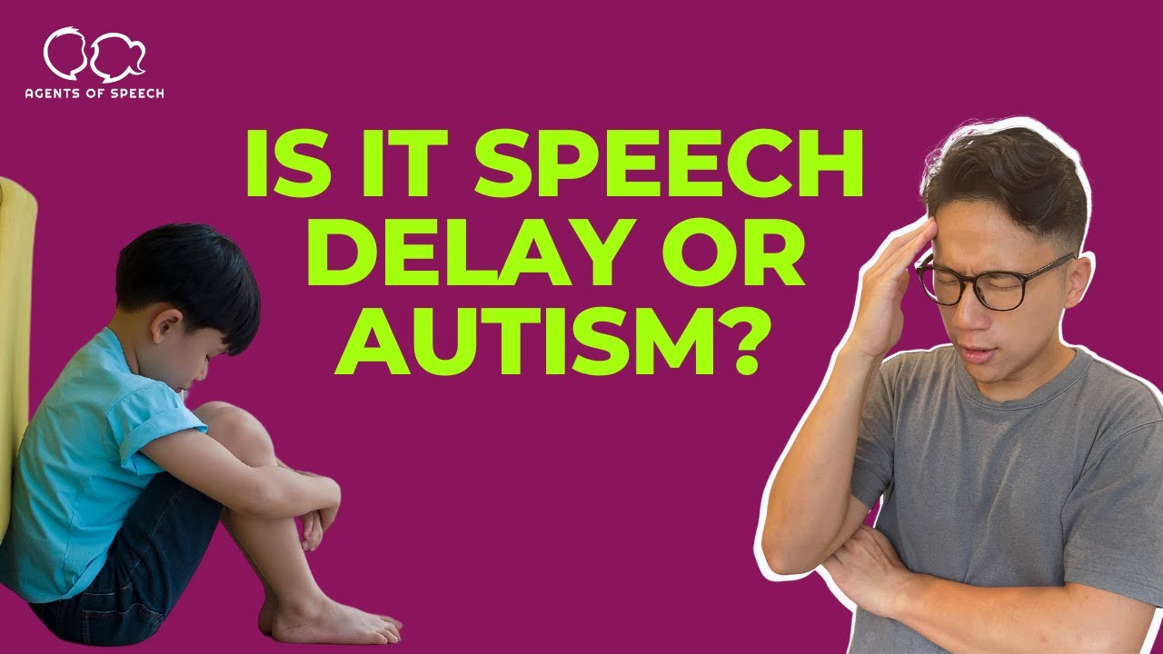 Does receptive language delay mean autism?