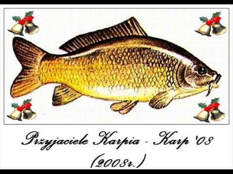 Przyjaciele Karpia - Karp '08 (2008r.)