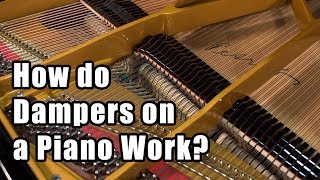 How do Dampers on a Piano Work? Why Do Pianos Have Dampers?