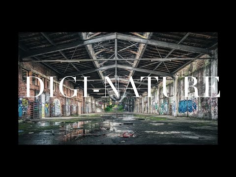 3 minute Infinite Zoom video of Endless entryways and landscapes #wow