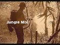 1993 - 1996 Old Skool Jungle Mix 