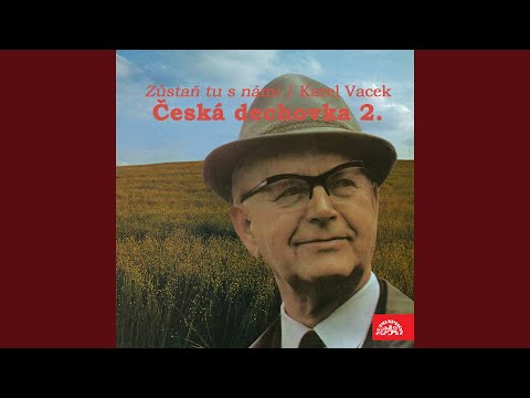 Zůstaň tu s námi, muziko česká!