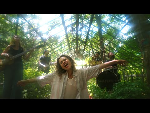 San Fermin - Didn't Want You To (Official Music Video)