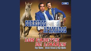 El Corrido De Los Perez