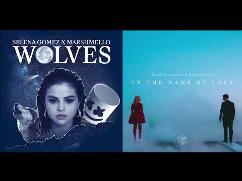 "In The Name Of Wolves" | Selena Gomez, Martin Garrix, Marshmello - Mashup