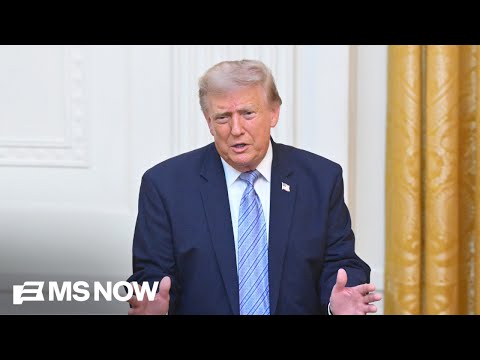 ‘He will not succeed’: Dems hold meeting to combat Trump’s potential midterm interference