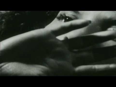 Wumpscut - your last salute (air forge remix)