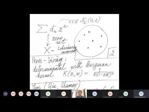 Determinantal point processes: quasi-symmetries and interpolation