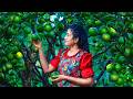 Sweet Orange Vibes Sweet Recipes From Garden To Table
