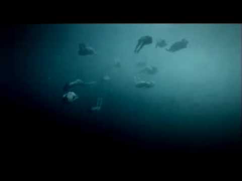 Johnnie Walker - Fish