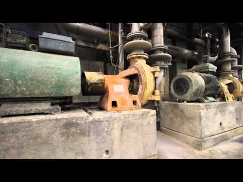 Paper pulp recycling mill