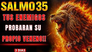 SALMO 35 + 64 + 109: POR TRES DÍAS: TUS ENEMIGOS PROBARÁN SU PROPIO VENENO Y DIOS TE HARÁ JUSTICIA