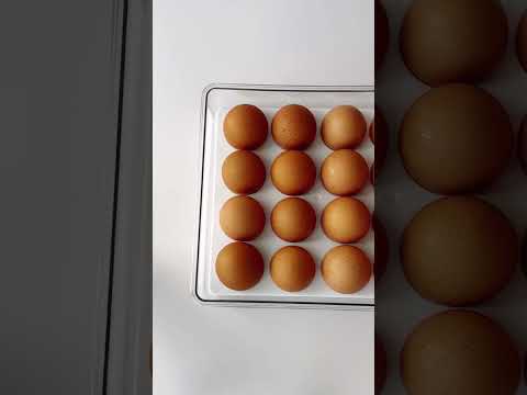 This ice cream sandwich is everything we need!