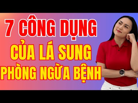 7 công dụng không ngờ của lá sung phòng ngừa hàng loạt bệnh - Ai nên dùng, ai cần tránh?