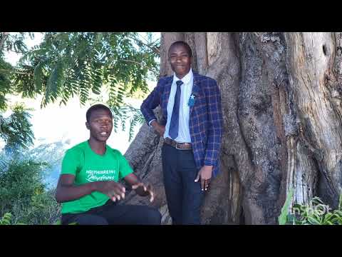 ZISO REMWEYA  - NDINDE STARS (Dzangove Ndangariro )