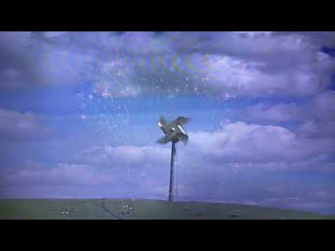 The Teletubbies Walk To The Magic Windmill To All Over Again (Sea Tractor)