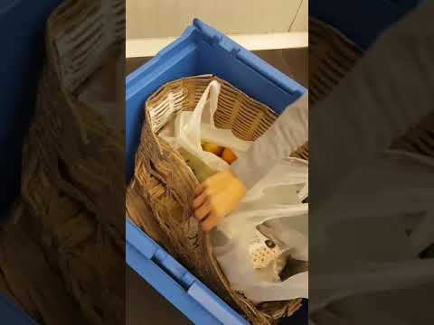 Molsa Online: botiga sostenible Zero-Waste!