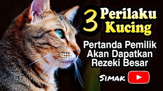 Download lagu 3 PERILAKU KUCING, PERTANDA PEMILIK AKAN DAPAT REZEKI BESAR mp3