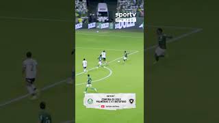 PALMEIRAS 2 X 1 BOTAFOGO: VEJA O PRIMEIRO GOL DE JHON ARIAS PELO VERDÃO!
