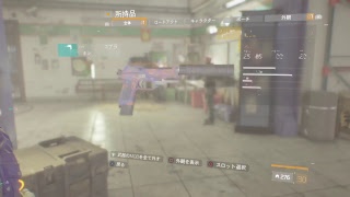 久々にディビジョンをゆるゆると。エキゾチック集めんぞー。