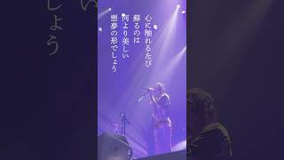 新曲「悪夢」🌫️ from NEE 11th TOUR「よろしく爆裂お願いしますTOUR」#須田景凪 #ライブ映像 #newsong