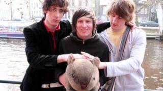 Tales of Girls, Boys & Marsupials by The Wombats