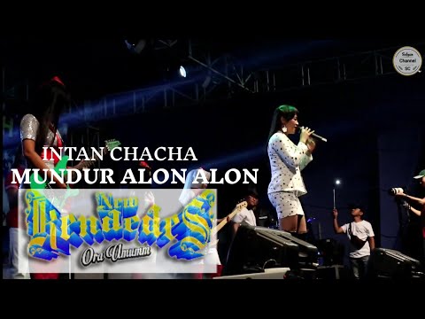 MUNDUR ALON ALON INTAN CHACHA NEW KENDEDES (LIVE) BALI