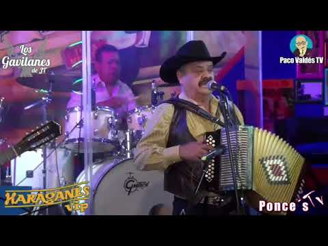 ESTRELLAS DE PLATA - LOS GAVILANES DE J.T