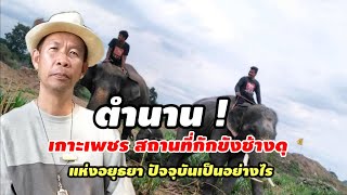 ตำนาน ! เกาะพระยาเพชรแหล่งกักขังช้างดุสถานที่เลี้ยงช้างศึกแห่งเพนียดหลวงอยุธยา โดย อ.อิทธิพันธ์