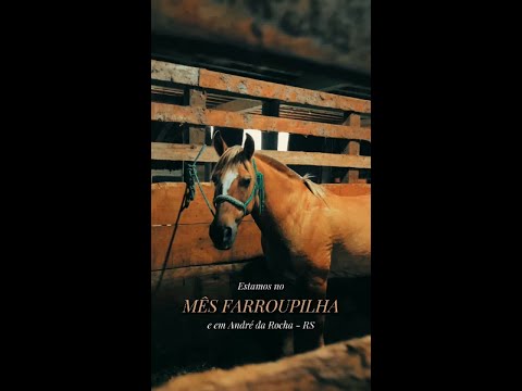 Em André da Rocha, tradição é identidade viva. Ela se compartilha com gosto, com alma, com fogo ace