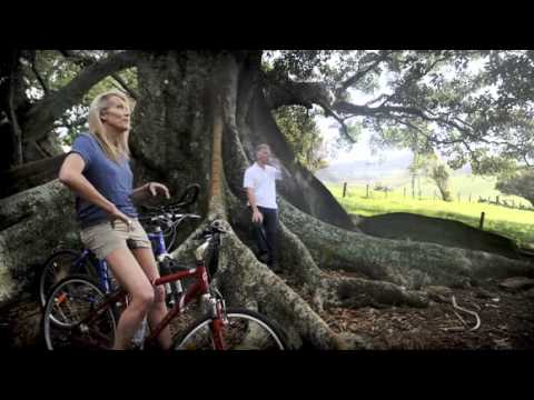 Природа Норфолка