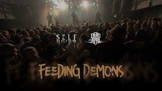 Dead by April  с нов сингъл
