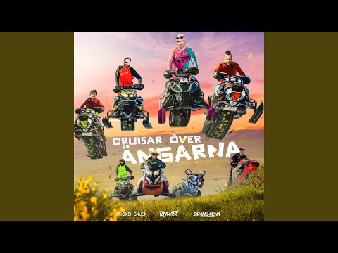 CRUISAR ÖVER ÄNGARNA