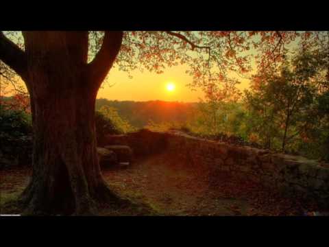 Assaf Feat. Laura Aqui - After Dark (Original Mix)