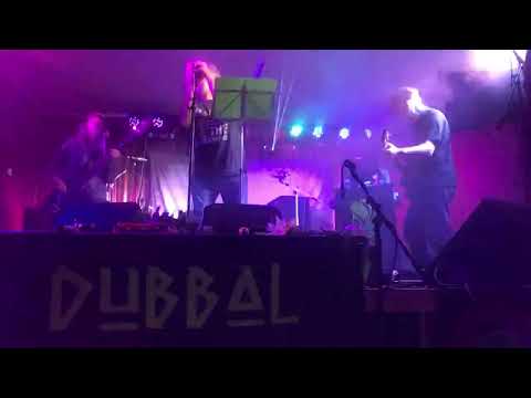 Blind Cat Resurrected - 2022 - Dubbal