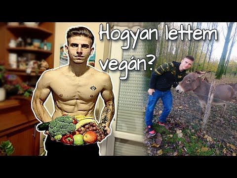 Hogyan lettem vegán?/Mi változott azóta az èletemben?