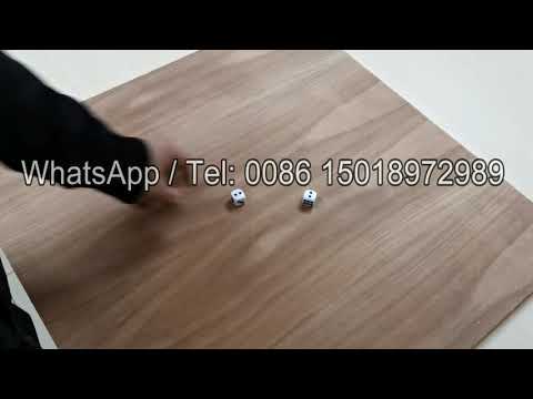 Remote Control Dice - The Most Convenient Dice Trick Device