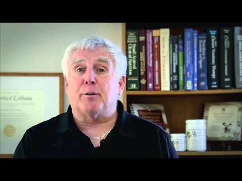 Nutrition 101: Which Are the Best Dog Treats?