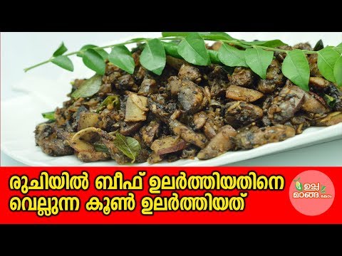 download lagu mp3 mp4 Mushroom Mezhukkupuratti, download lagu Mushroom Mezhukkupuratti gratis, unduh video klip Mushroom Mezhukkupuratti