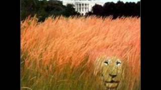 BROKEN HOME-WHITE LION