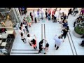 Rueda Flashmob Munich 29 03 2014