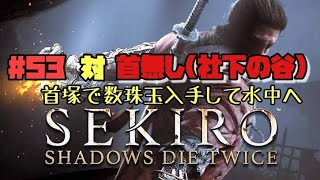 【隻狼/セキロ】　＃53　対/ 首無し（剛幹の御霊降ろし・社下の谷付近の水中の先）　首塚にある数珠玉入手　　[SEKIRO: SHADOWS DIE TWICE攻略（せきろう）　PS4]