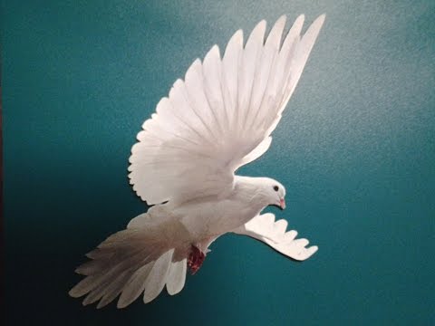 01b B'reisheet   (In The Beginning) Jim Staley