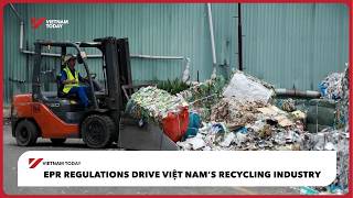 EPR regulations drive Việt Nam’s recycling industry | Vietnam Today
